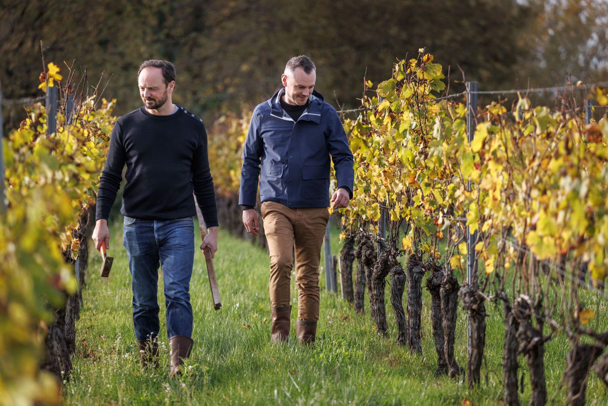 251112_VA_Penin_0005