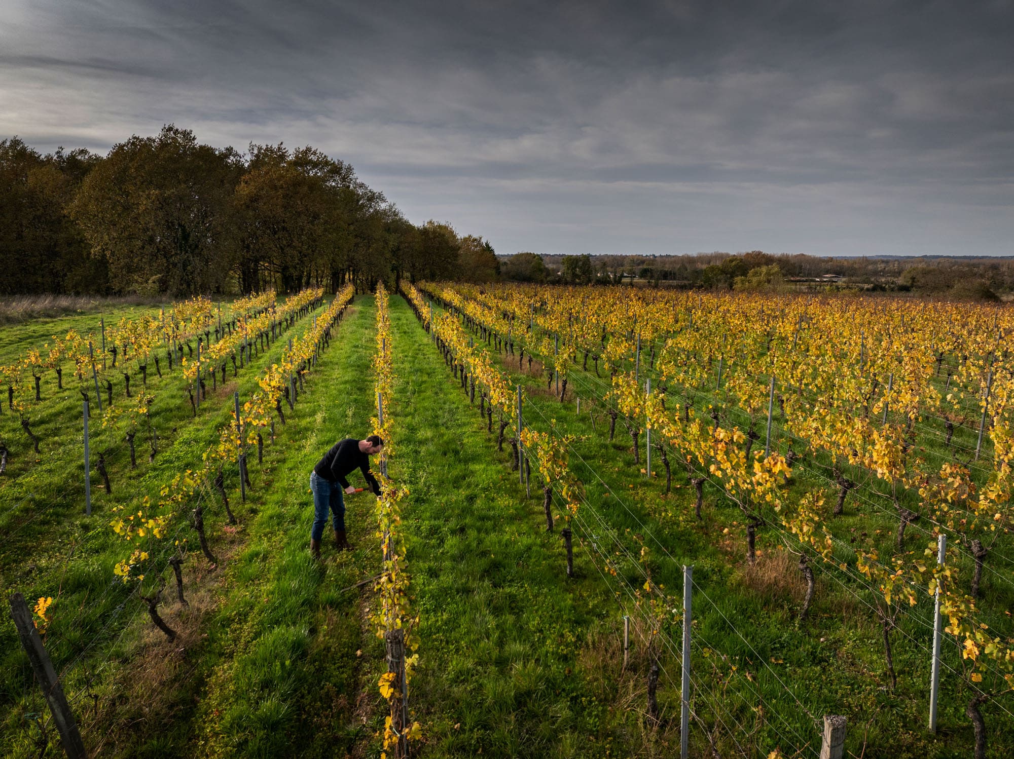 251112_VA_Penin_0463