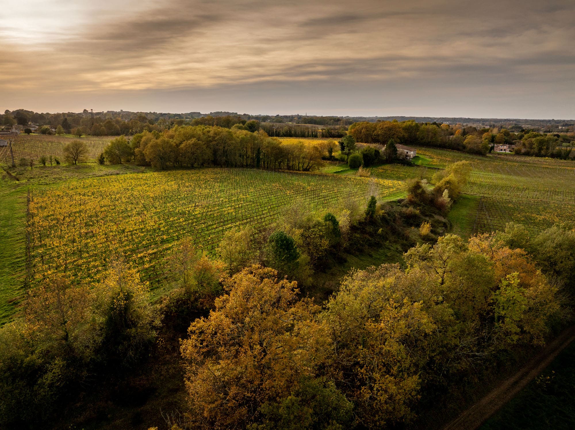 251112_VA_Penin_0471