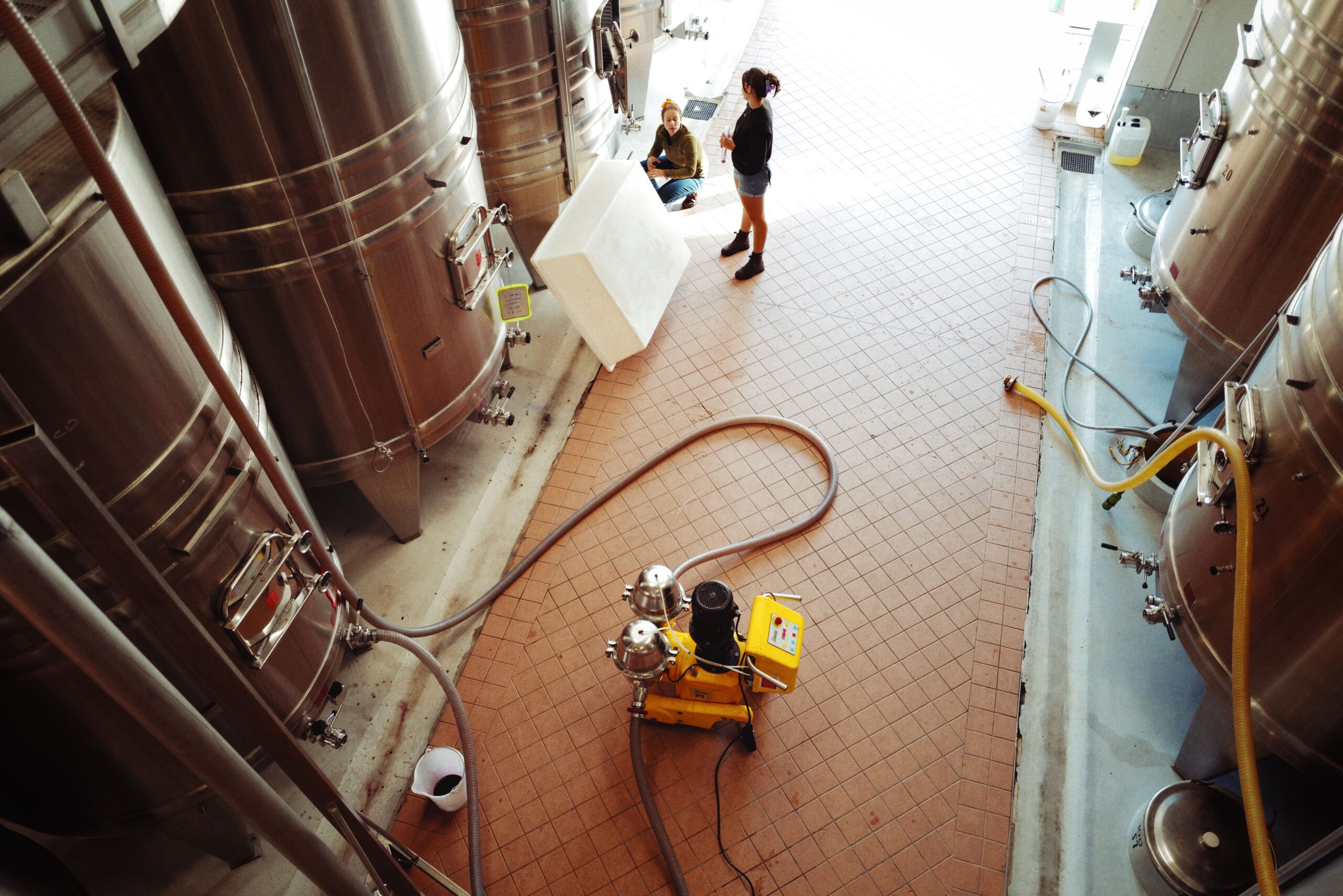 Activité de chai post vendange