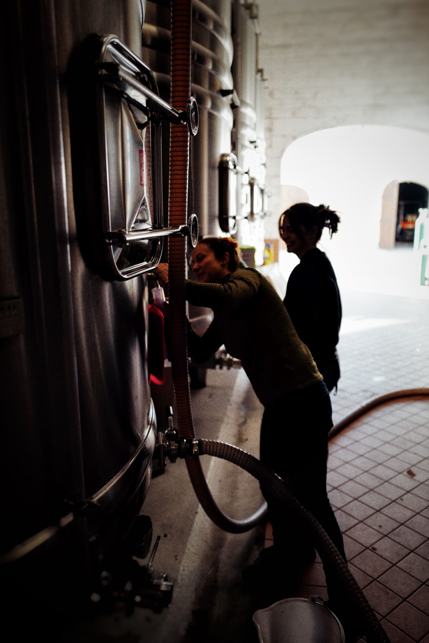 Dégustation de vin avant remontage, nos maitre de chai vérifie la qualité