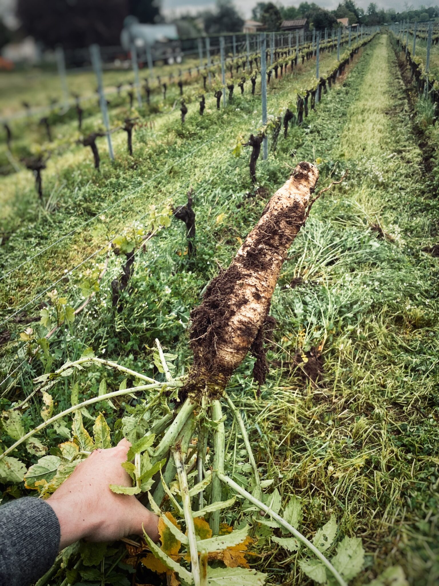 Fichier_000 (21) (2)